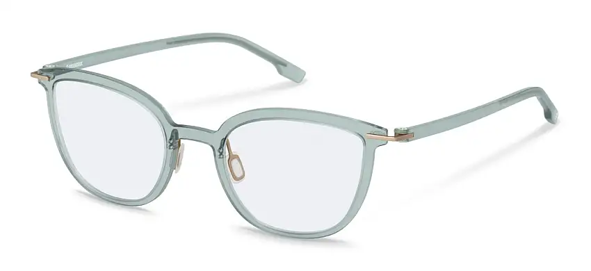 Occhiali da vista RODENSTOCK R5367 C000
