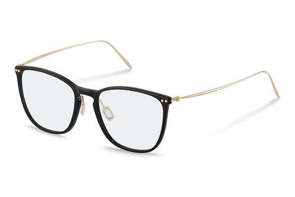 Rodenstock R7134 (B000)