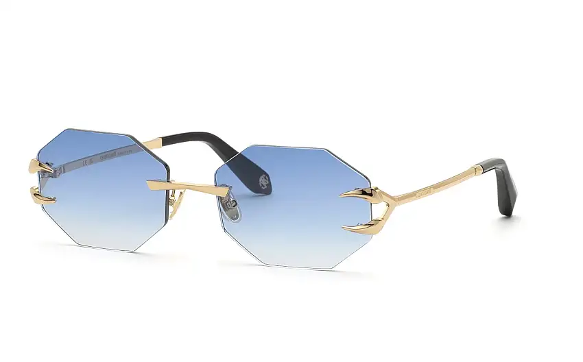 Occhiali da sole ROBERTO CAVALLI SRC005 300B