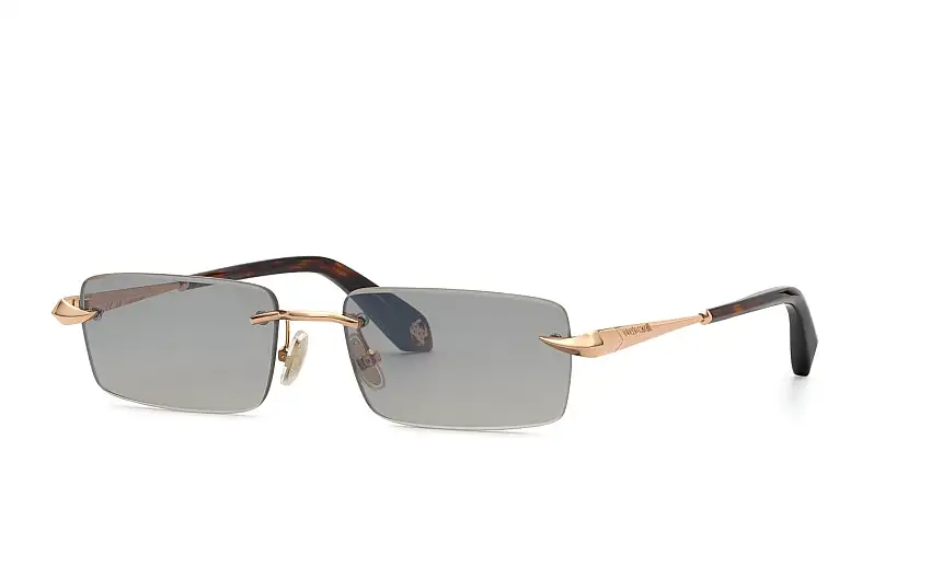 Occhiali da sole ROBERTO CAVALLI SRC206M 8FCX