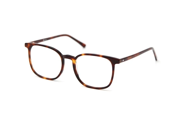 Sur Classics JONA (12522 - havana)