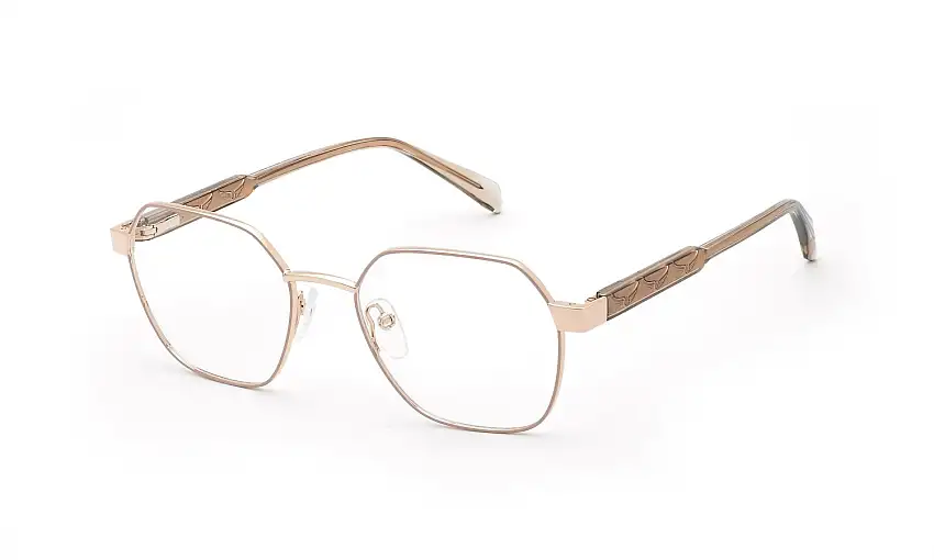 Zadig&Voltaire Prescription glassesVZV498 02AM