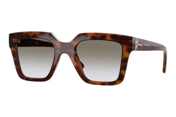 Vogue Eyewear VO5690S (23868G)