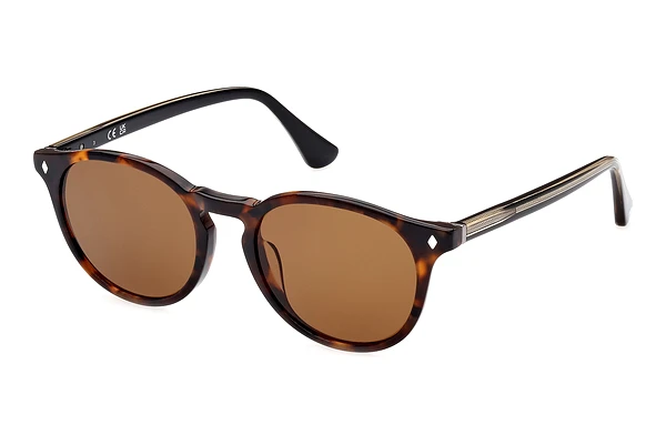 Web Eyewear WE0328 (56N)