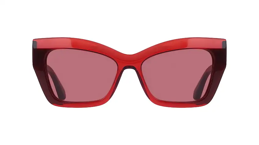 Occhiali da sole FERRAGAMO SF2065S 613