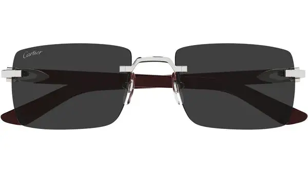 CT0579S Argento Lucido Occhiali da Sole