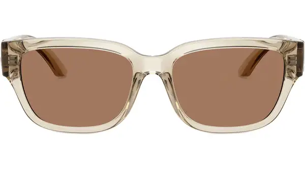 DX 6009 329173 Beige Trasparente Occhiali da Sole