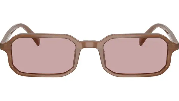 EA4253U 627173 Opalino Lucido Marrone Chiaro Occhiali da Sole