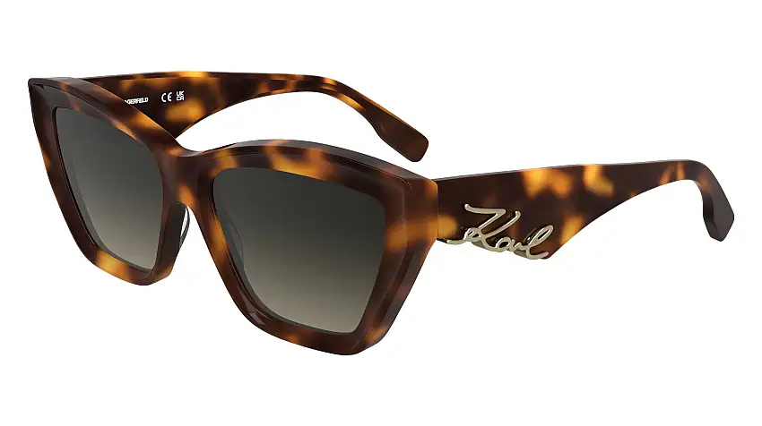 Occhiali da sole KARL LAGERFELD KL6179S 230