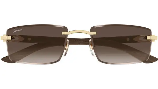 CT0582S 003 Oro Lucido Occhiali da Sole