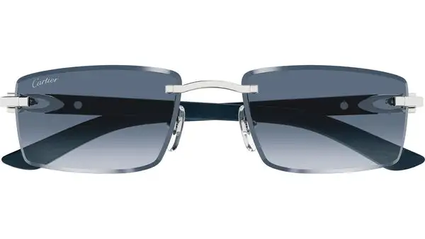 CT0582S 004 Argento Lucido Occhiali da Sole