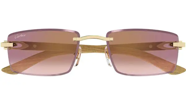 CT0582S 002 Oro Lucido Occhiali da Sole