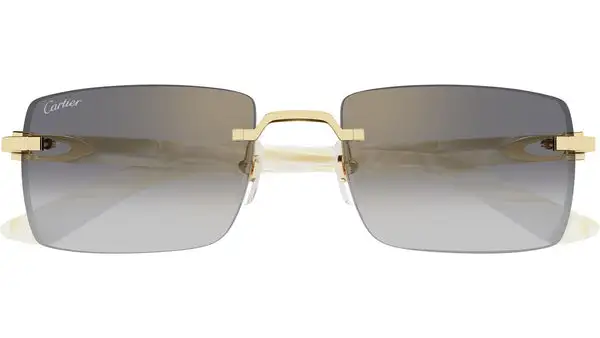 CT0579S 007 Oro Lucido Occhiali da Sole