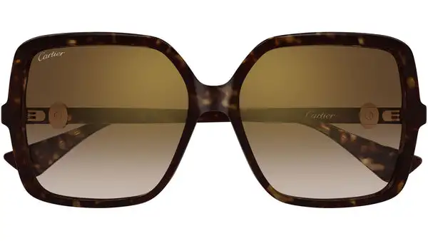 CT0641S 002 Avana Scuro Occhiali da Sole