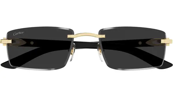 CT0582S 001 Nero E Oro Occhiali da Sole