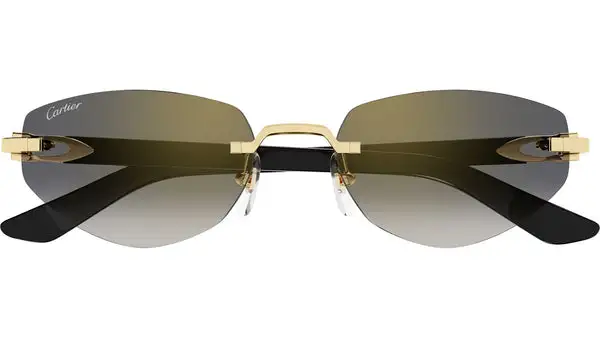 CT0580S 001 Oro Occhiali da Sole