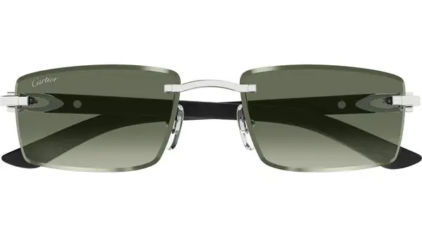 CT0582S 005 Argento Lucido Occhiali da Sole