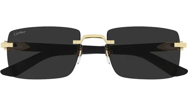 CT0579S 005 Nero E Oro Occhiali da Sole