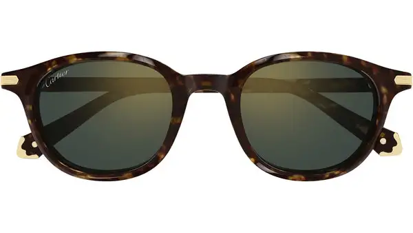 Première CT0584S 002 Avana Scuro Occhiali da Sole