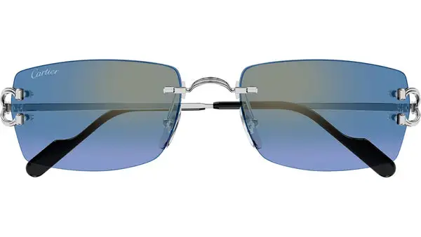 CT0550S 007 Argento Occhiali da Sole