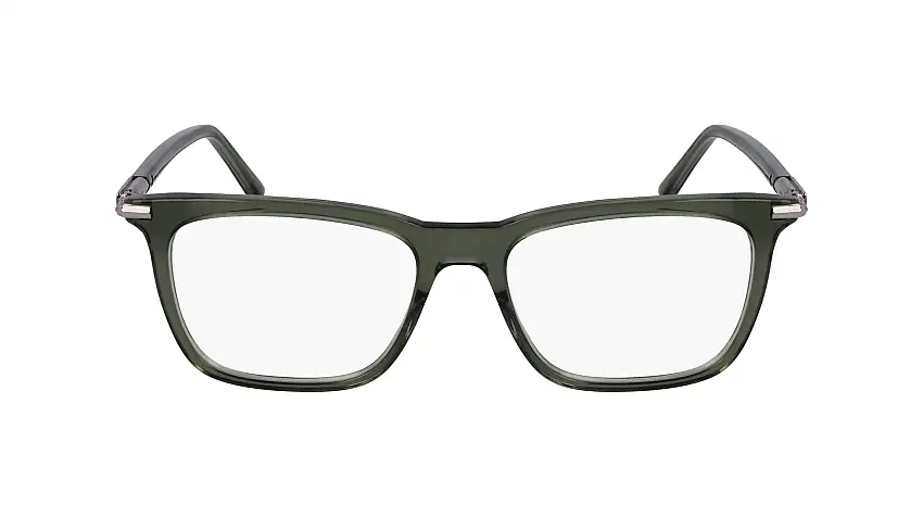 FERRAGAMO Prescription glassesSF3007 317