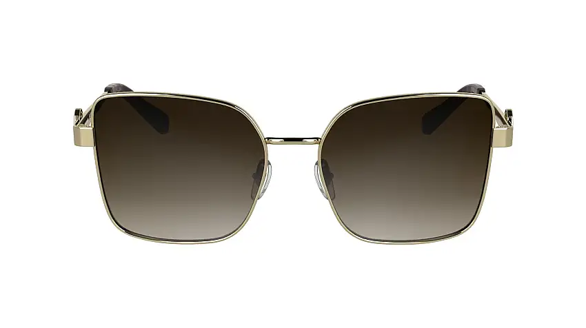 Occhiali da sole LONGCHAMP LO181S 727