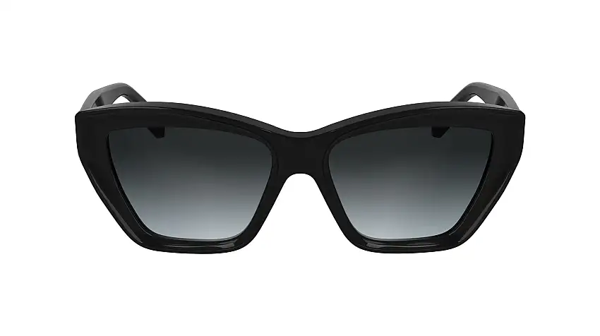 Occhiali da sole KARL LAGERFELD KL6179S 001