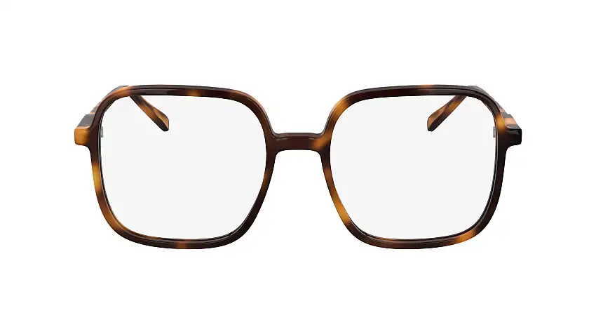 Occhiali da vista KARL LAGERFELD KL6192 230