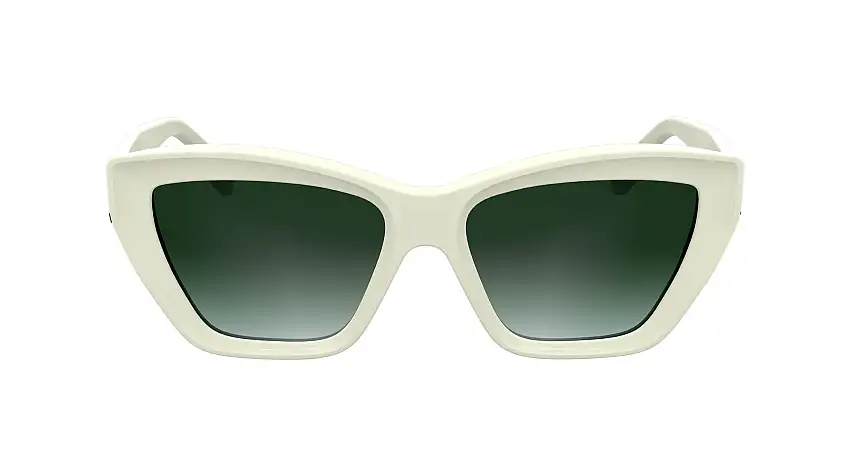 Occhiali da sole KARL LAGERFELD KL6179S 105