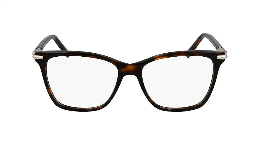 FERRAGAMO Prescription glassesSF3013 242